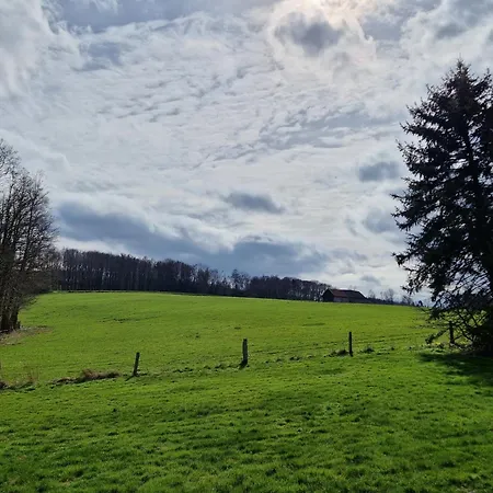Arnsberger Wald * Möhnesee