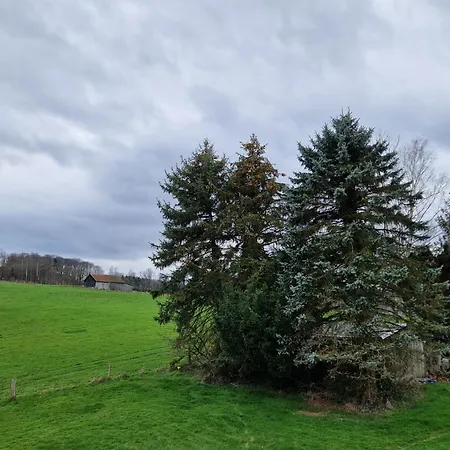 Arnsberger Wald Apartment