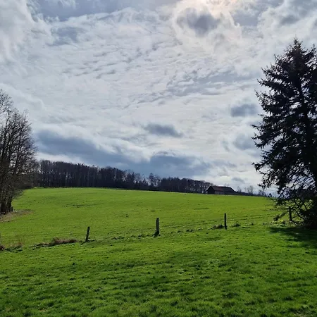 Arnsberger Wald *