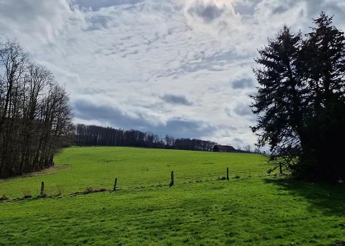 Arnsberger Wald * Möhnesee
